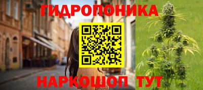 сатива Коммунар