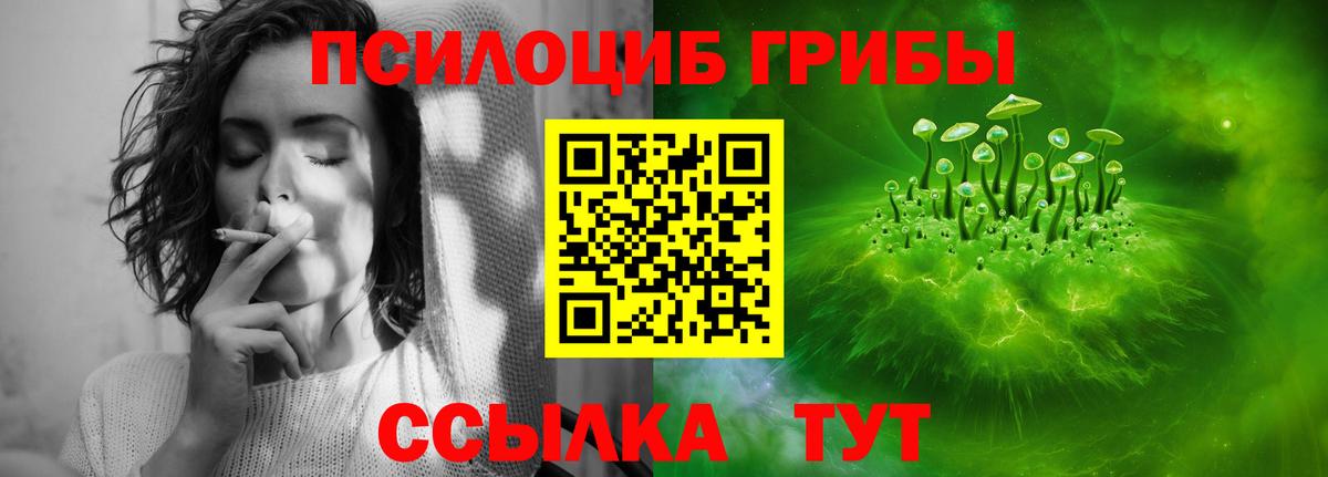 Камень-на-Оби  Галлюциногенные грибы Magic Shrooms  Псилоцибиновые грибы мухоморы  Вход с VPN 